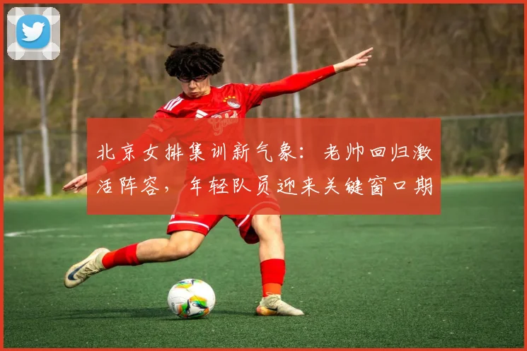 北京女排集训新气象：老帅回归激活阵容，年轻队员迎来关键窗口期