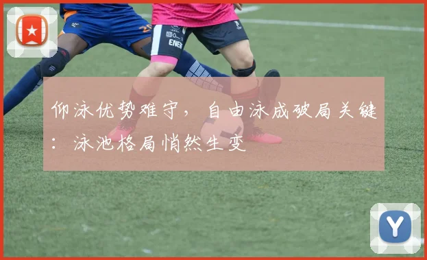 仰泳优势难守，自由泳成破局关键：泳池格局悄然生变