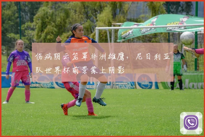 伤病阴云笼罩非洲雄鹰，尼日利亚队世界杯前景蒙上阴影