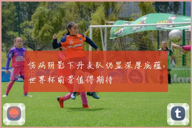 伤病阴影下丹麦队仍显深厚底蕴，世界杯前景值得期待