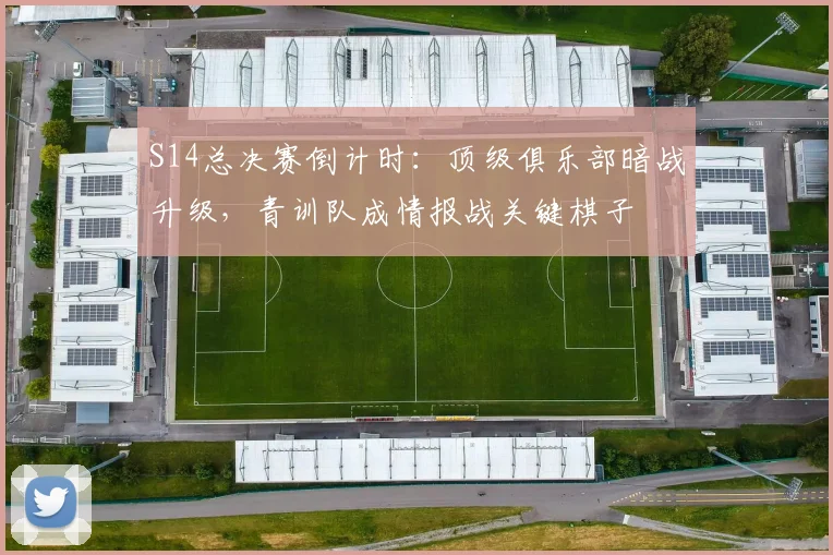 S14总决赛倒计时：顶级俱乐部暗战升级，青训队成情报战关键棋子