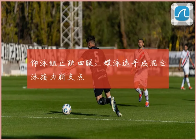 仰泳组止跌回暖，蝶泳选手成混合泳接力新支点