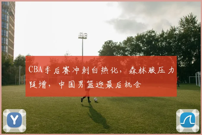 CBA季后赛冲刺白热化，森林狼压力陡增，中国男篮迎最后机会